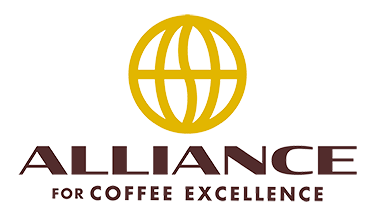 allianceforcoffeeexcellence.org