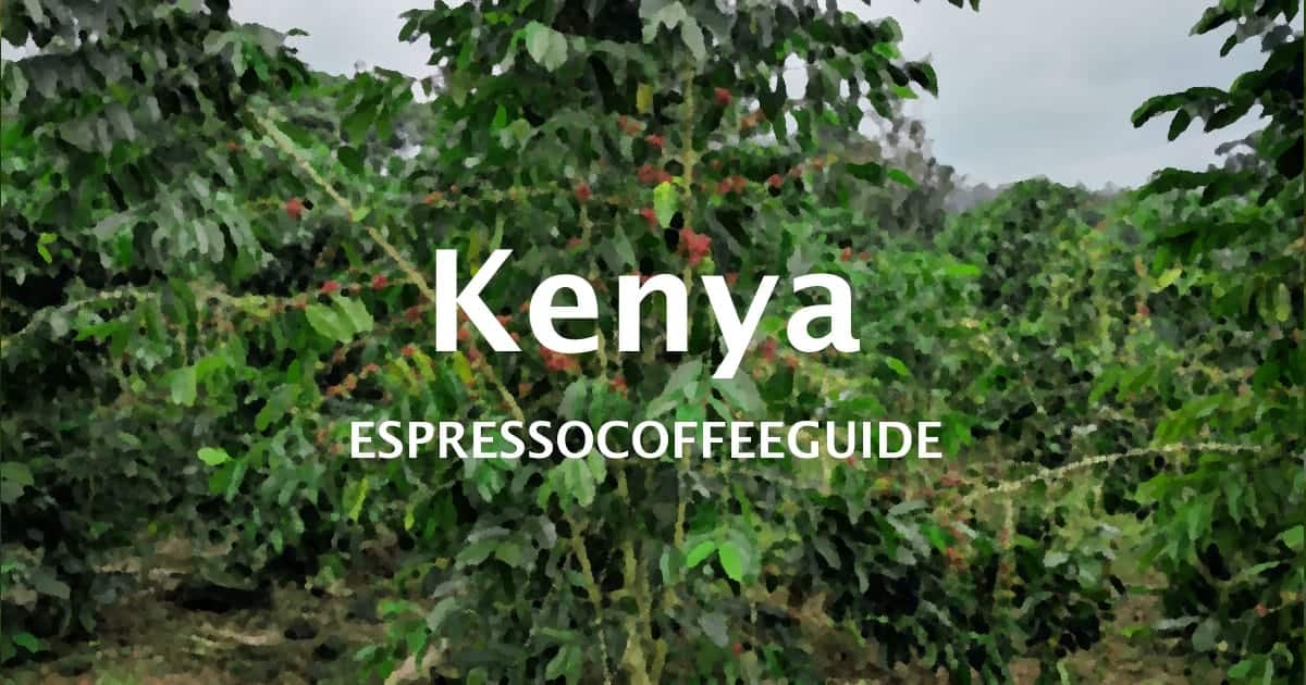 espressocoffeeguide.com