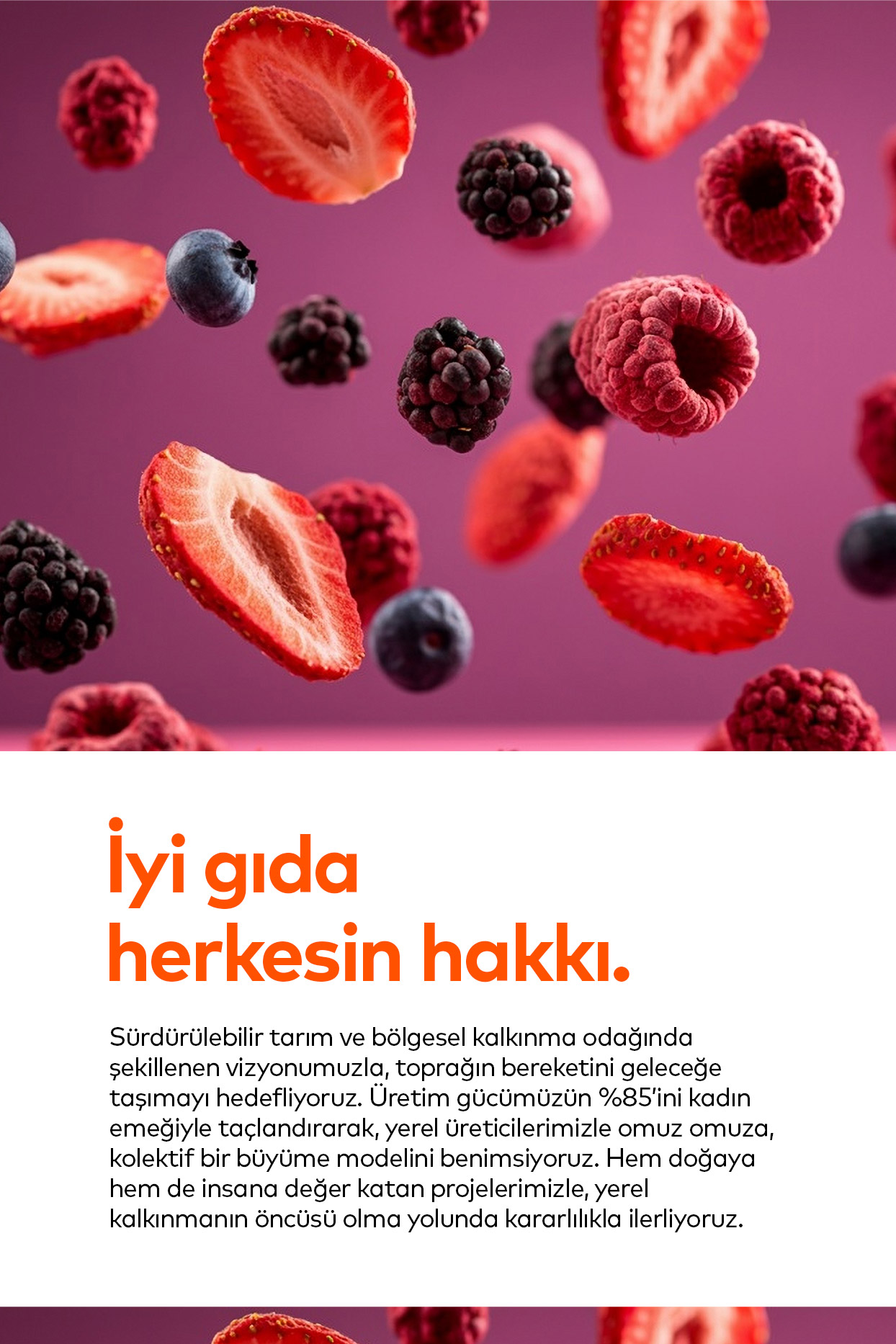 pols.com.tr